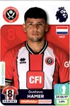 #533 Gustavo Hamer