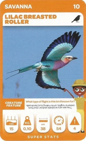 Lilac Breasted Roller card #10 - Pick n Pay South African Super Animals