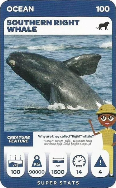 Southern Right Whale card #100 - Pick n Pay South African Super Animals
