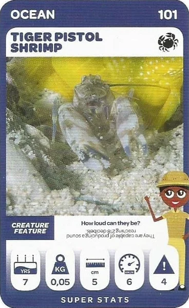 Tiger Pistol Shrimp card #101 - Pick n Pay South African Super Animals