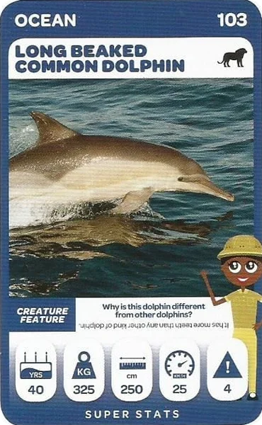 Long Beaked Common Dolphin card #103 - Pick n Pay South African Super Animals