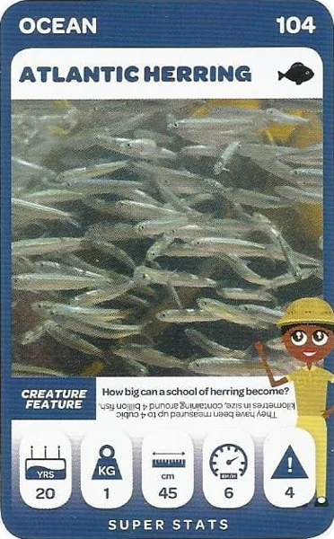 Atlantic Herring card #104 - Pick n Pay South African Super Animals