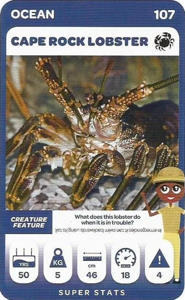 Cape Rock Lobster card #107 - Pick n Pay South African Super Animals