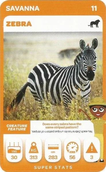Zebra card #11 - Pick n Pay South African Super Animals