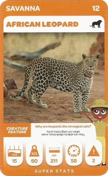 African Leopard card #12 - Pick n Pay South African Super Animals