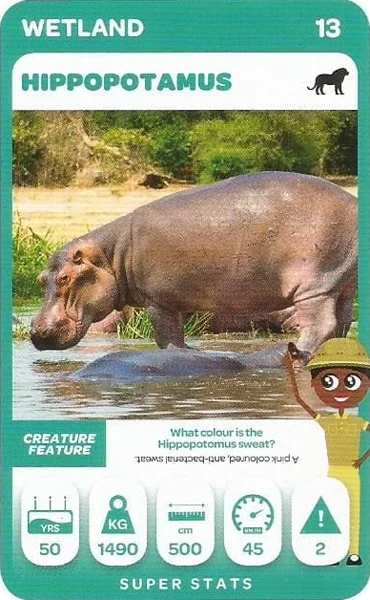Hippopotamus card #13 - Pick n Pay South African Super Animals