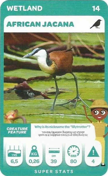 African Jacana card #14 - Pick n Pay South African Super Animals