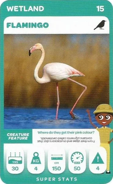Flamingo card #15 - Pick n Pay South African Super Animals