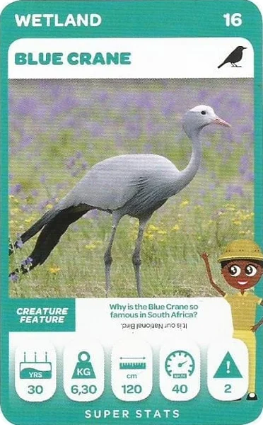 Blue Crane card #16 - Pick n Pay South African Super Animals
