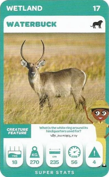 Waterbuck card #17 - Pick n Pay South African Super Animals