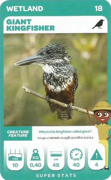 Giant Kingfisher card #18 - Pick n Pay South African Super Animals
