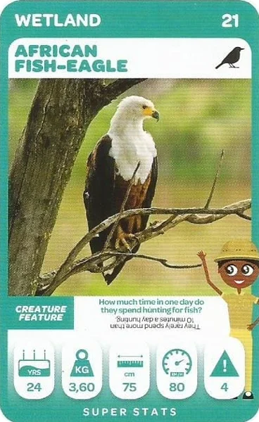 African Fish-Eagle card #21 - Pick n Pay South African Super Animals