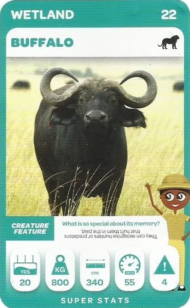 Buffalo card #22 - Pick n Pay South African Super Animals