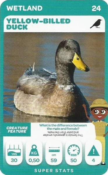 Yellow-Billed Duck card #24 - Pick n Pay South African Super Animals