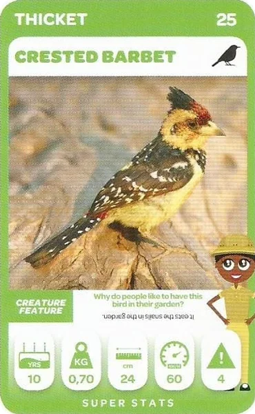 Crested Barbet card #25 - Pick n Pay South African Super Animals