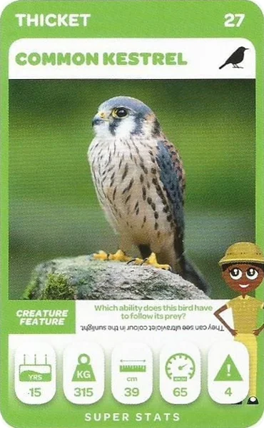 Common Kestrel card #27 - Pick n Pay South African Super Animals