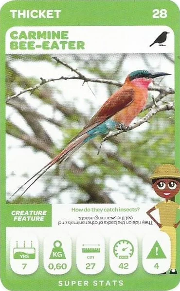 Carmine Bee-Eater card #28 - Pick n Pay South African Super Animals