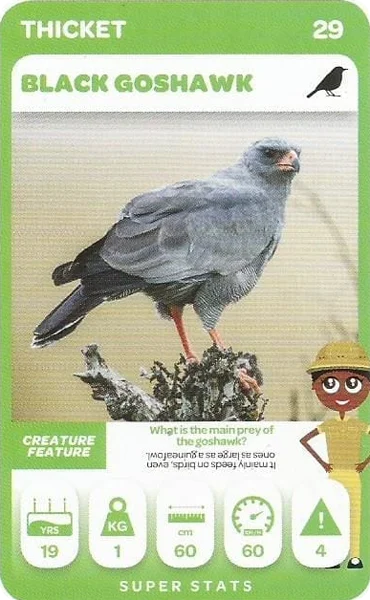 Black Goshawk card #29 - Pick n Pay South African Super Animals