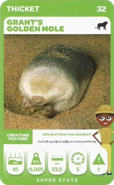 Grant's Golden Mole card #32 - Pick n Pay South African Super Animals