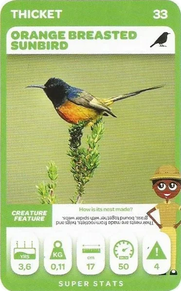 Orange Breasted Sunbird card #33 - Pick n Pay South African Super Animals