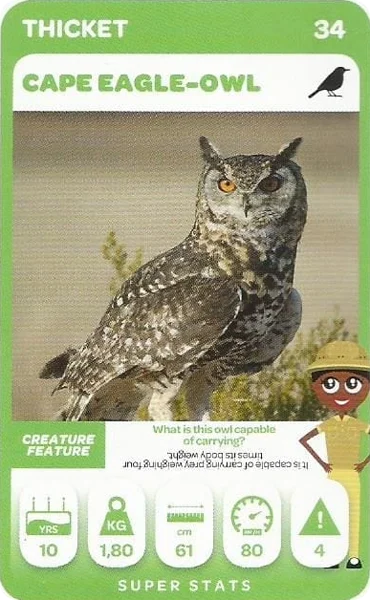 Cape Eagle-Owl card #34 - Pick n Pay South African Super Animals