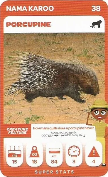 Porcupine card #38 - Pick n Pay South African Super Animals
