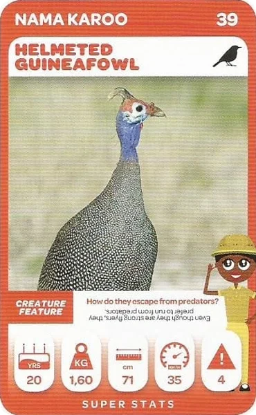 Helmeted Guineafowl card #39 - Pick n Pay South African Super Animals