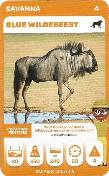 Blue Wildebeest card #4 - Pick n Pay South African Super Animals