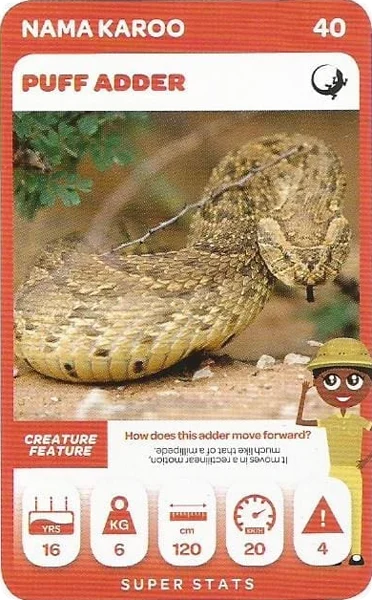 Puff Adder card #40 - Pick n Pay South African Super Animals