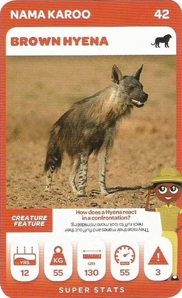Brown Hyena card #42 - Pick n Pay South African Super Animals