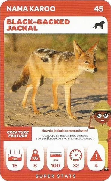 Black-Backed Jackal card #45 - Pick n Pay South African Super Animals