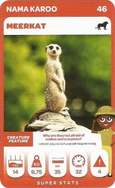 Meerkat card #46 - Pick n Pay South African Super Animals