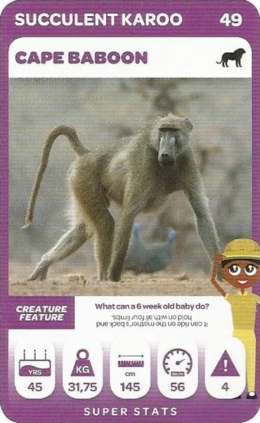 Cape Baboon card #49 - Pick n Pay South African Super Animals