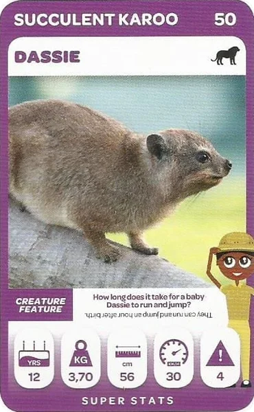 Dassie card #50 - Pick n Pay South African Super Animals