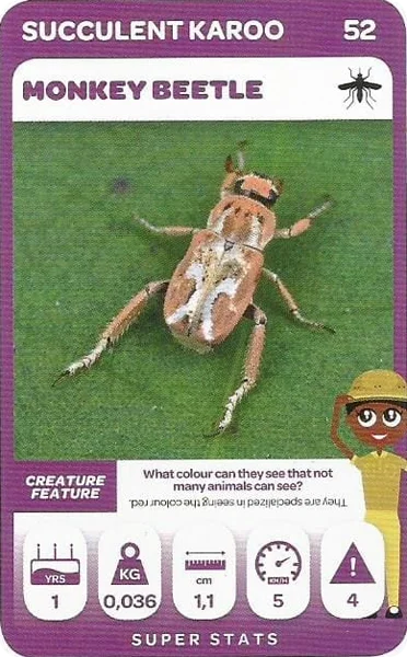 Monkey Beetle card #52 - Pick n Pay South African Super Animals