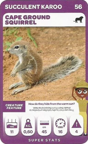 Cape Ground Squirrel card #56 - Pick n Pay South African Super Animals