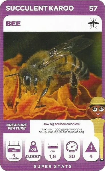 Bee card #57 - Pick n Pay South African Super Animals
