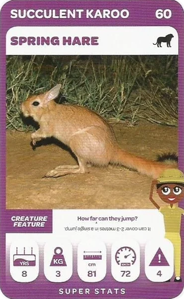 Spring Hare card #60 - Pick n Pay South African Super Animals
