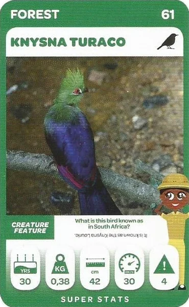 Knysna Turaco card #61 - Pick n Pay South African Super Animals