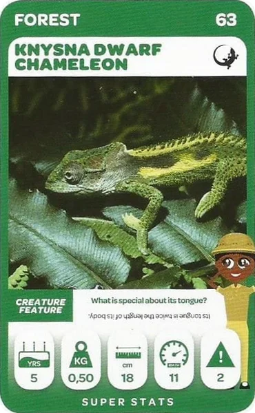 Knysna Dwarf Chameleon card #63 - Pick n Pay South African Super Animals