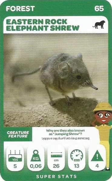 Eastern Rock Elephant Shrew card #65 - Pick n Pay South African Super Animals