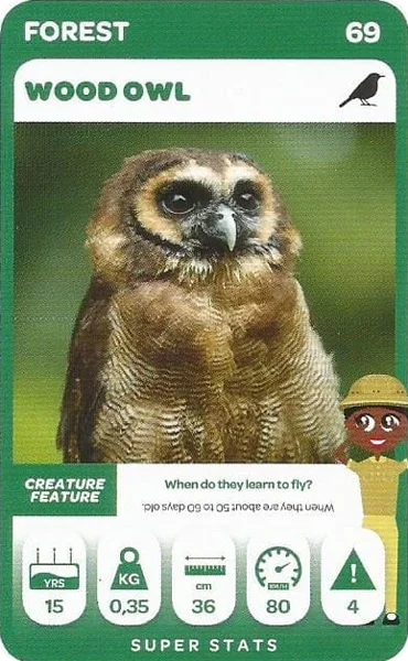 Wood Owl card #69 - Pick n Pay South African Super Animals
