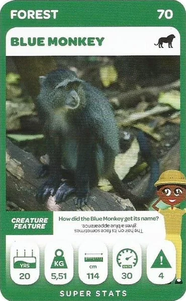 Blue Monkey card #70 - Pick n Pay South African Super Animals