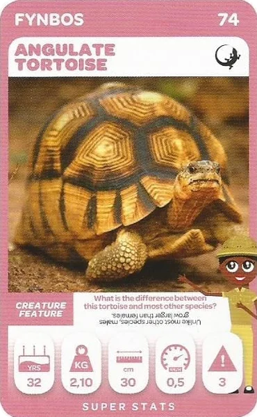 Angulate Tortoise card #74 - Pick n Pay South African Super Animals