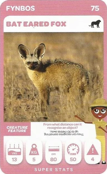Bat Eared Fox card #75 - Pick n Pay South African Super Animals