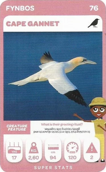 Cape Gannet card #76 - Pick n Pay South African Super Animals