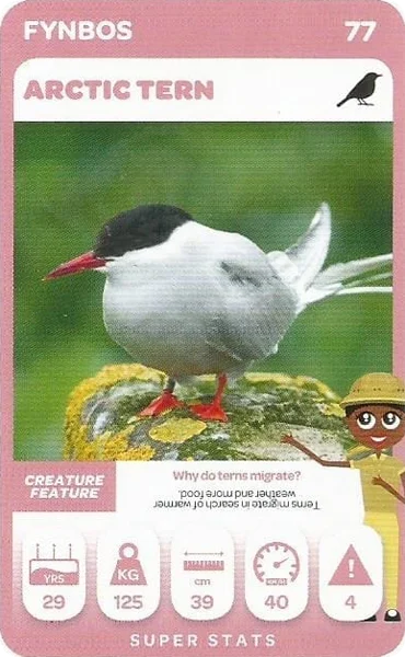 Arctic Tern card #77 - Pick n Pay South African Super Animals
