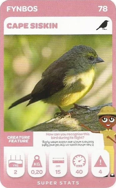 Cape Siskin card #78 - Pick n Pay South African Super Animals
