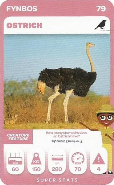 Ostrich card #79 - Pick n Pay South African Super Animals