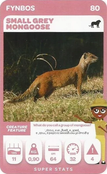 Small Grey Mongoose card #80 - Pick n Pay South African Super Animals
